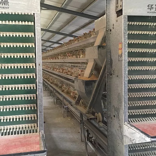 Automatic Feeding System